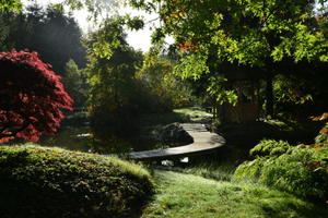 Weldadig Oord Bamboetuin Mei Chu