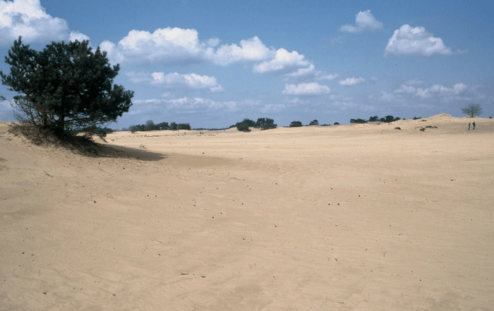 Nationaal Park Drents-Friese Wold