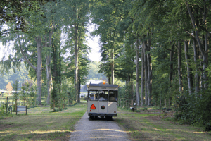 Weldadig Oord Kolonietram van Museum De Koloniehof