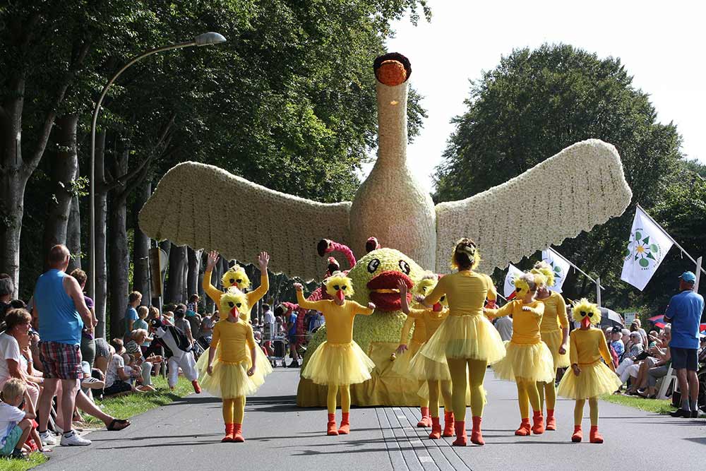 35-Corso-Frederiksoord-2017-2-fotograaf-Niek-van-der-Oord