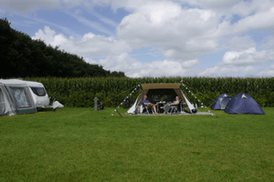 Weldadig Oord - Camping De Moesberg
