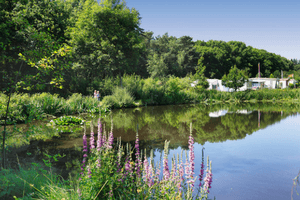 Weldadig Oord Camping Zonnekamp