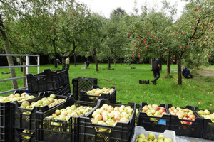 Weldadig Oord Fruithof Frederiksoord