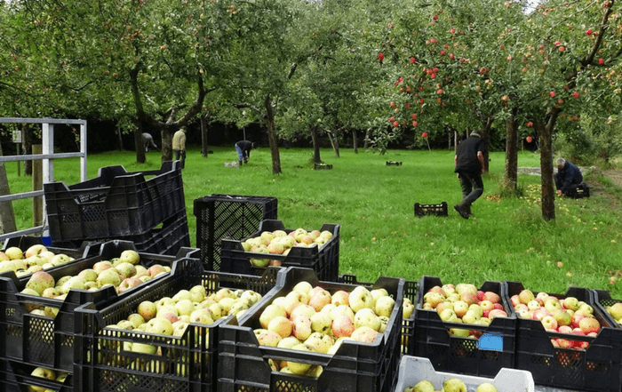 Weldadig Oord - Fruithof Frederiksoord