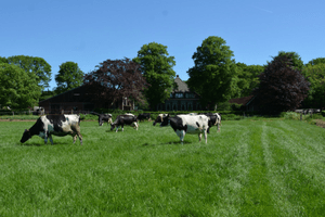 Weldadig Oord - Hoeve De Werkhorst