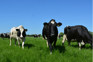 Weldadig Oord - Hoeve De Werkhorst