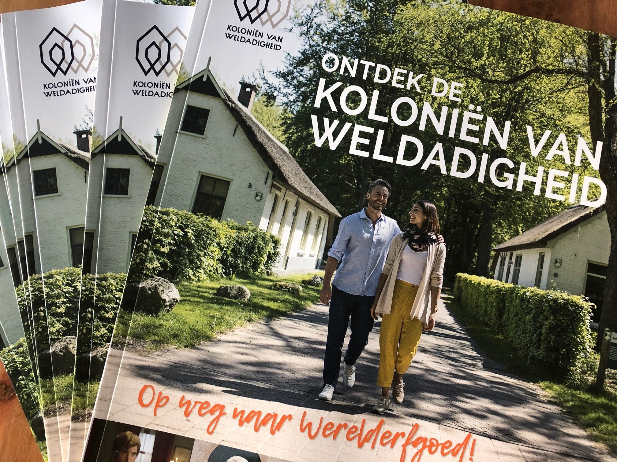 kolonieglossy